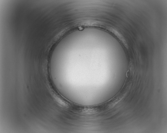 X0000073970445200609051849