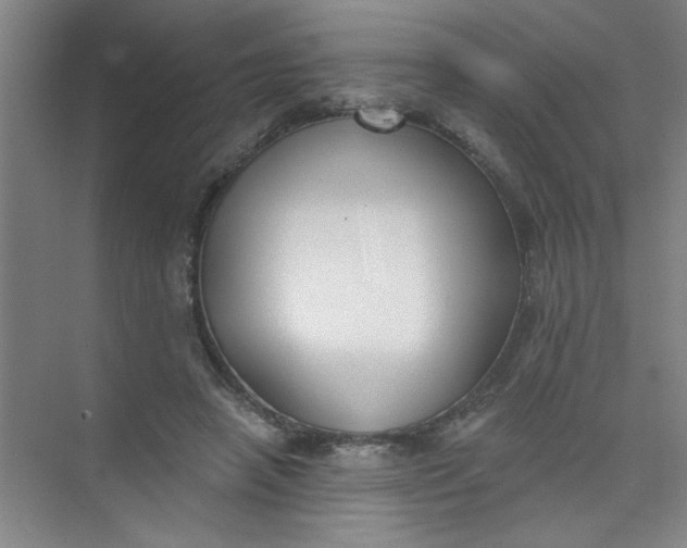 X0000073970450200609051849