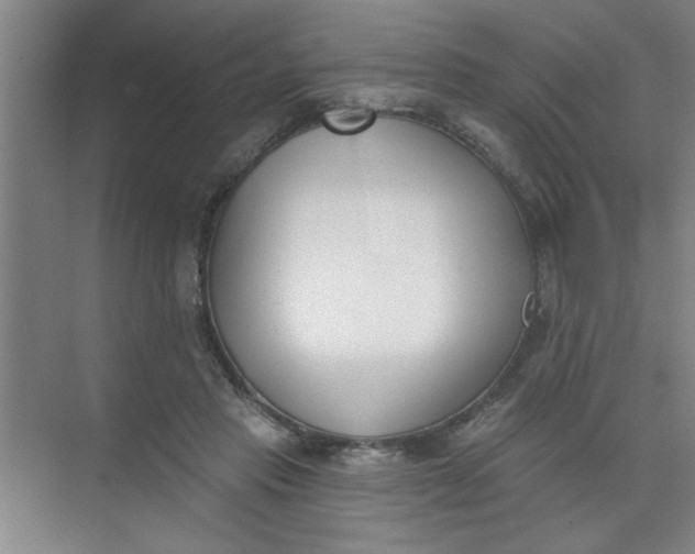 X0000073970453200609051849