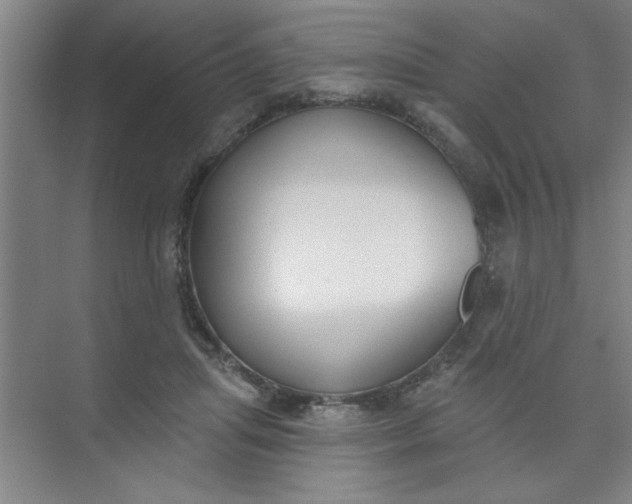 X0000073970455200609051849