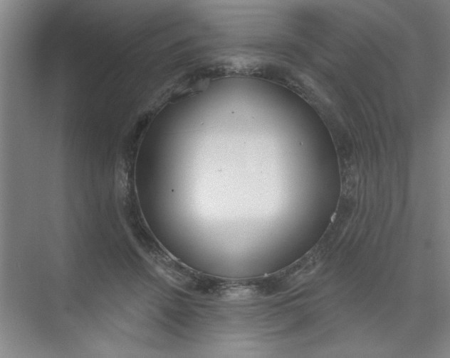 X0000073970456200609051849