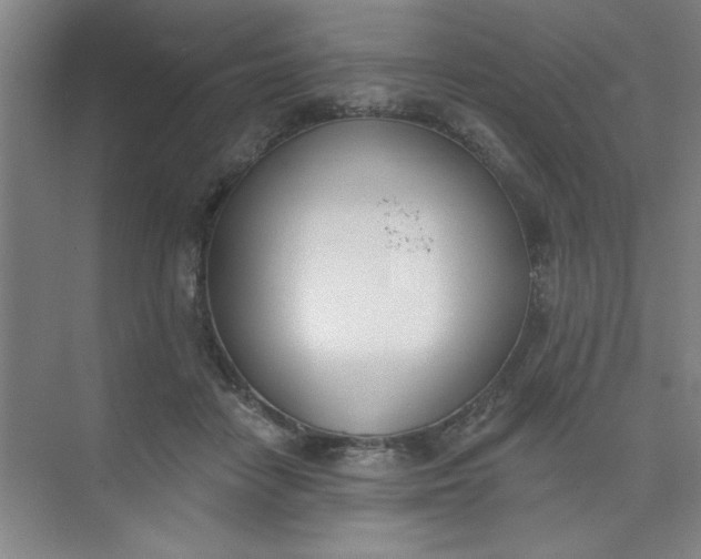 X0000073970458200609051849