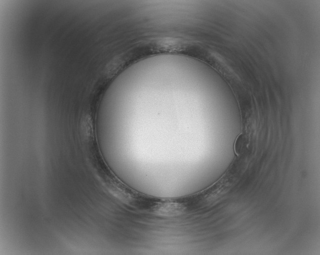 X0000073970459200609051849