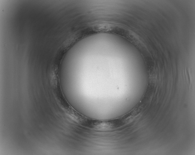 X0000073970460200609051849