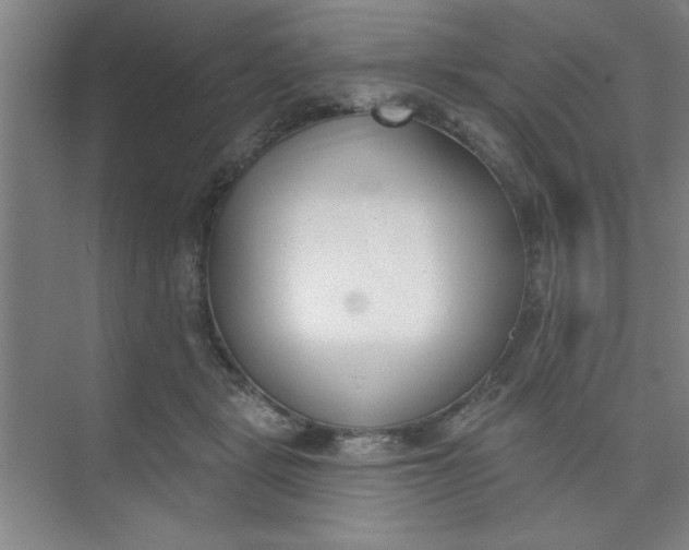 X0000073970461200609051849