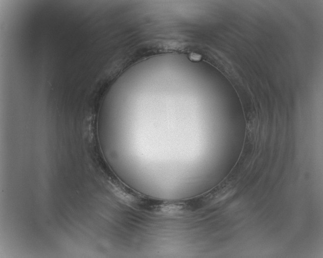 X0000073970462200609051850