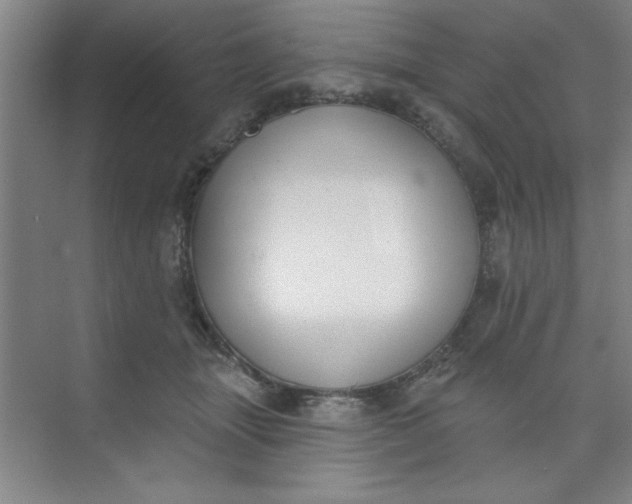 X0000073970463200609051850