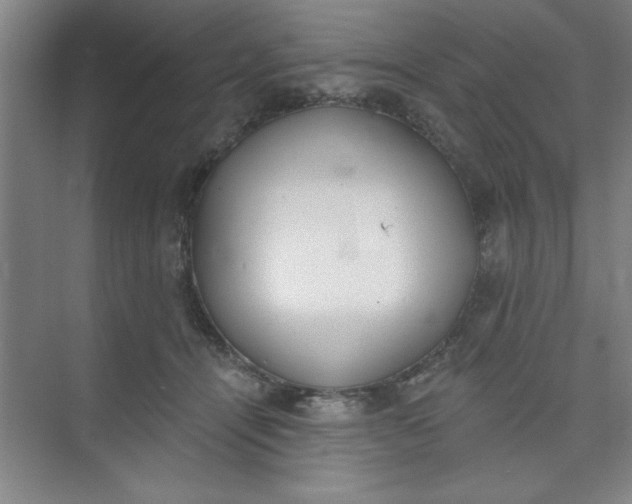 X0000073970464200609051850