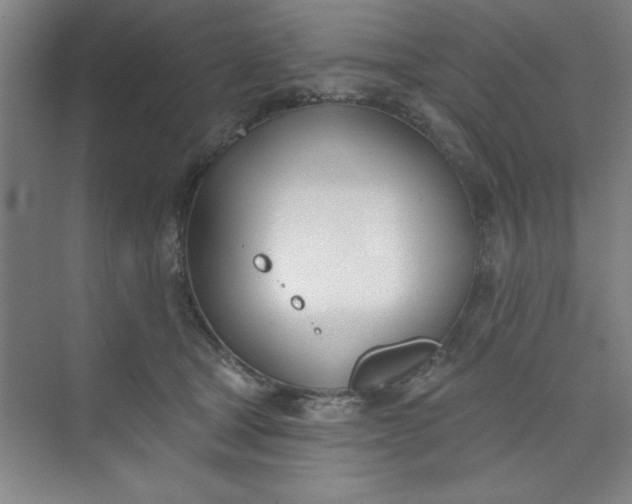 X0000073970465200609051850