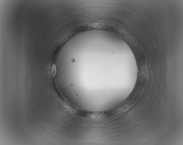 X0000073970466200609051850