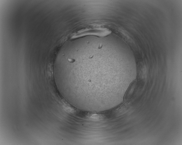 X0000073970467200609051850