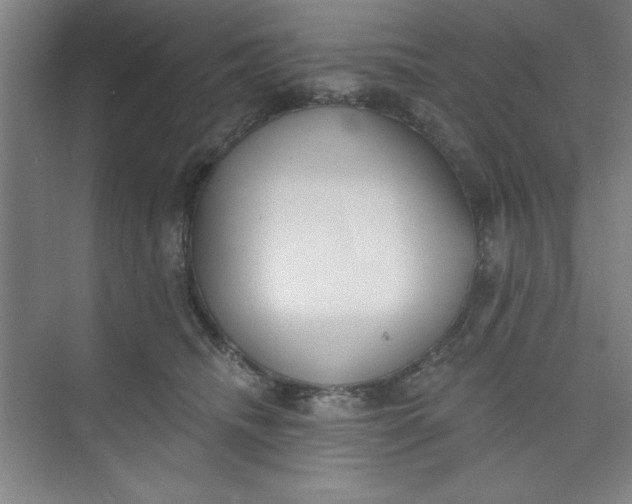 X0000073970468200609051850