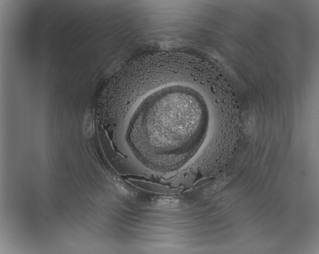 X0000073970471200609051850