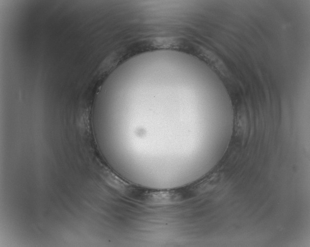 X0000073970473200609051850