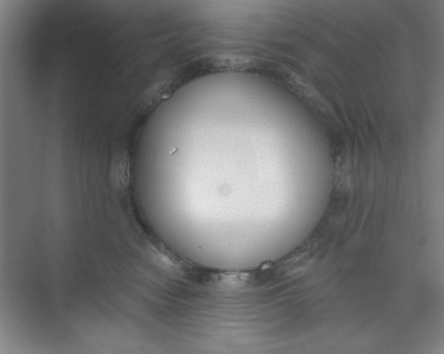 X0000073970474200609051850