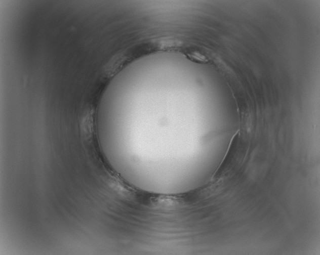 X0000073970475200609051850