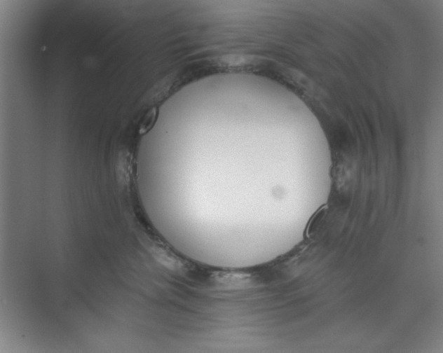 X0000073970476200609051850