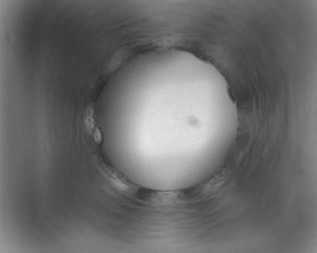 X0000073970479200609051850