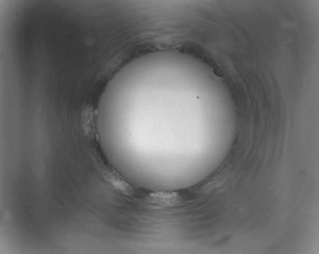 X0000073970480200609051850