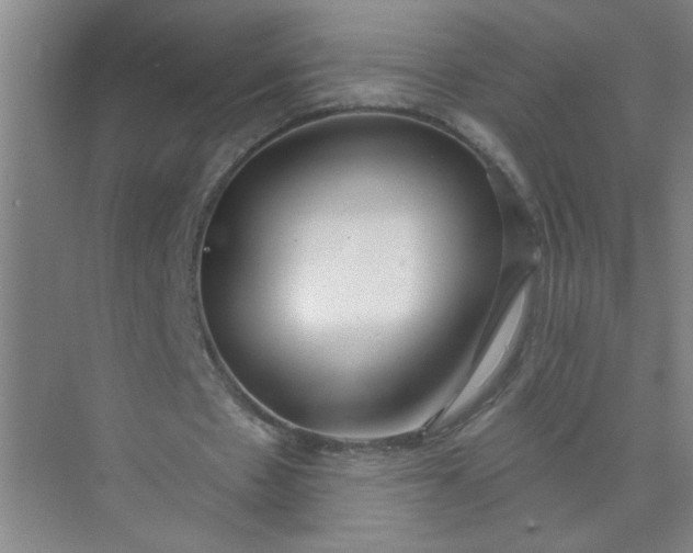 X0000073970481200609051849