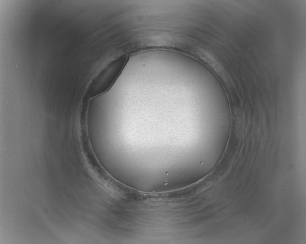 X0000073970482200609051849