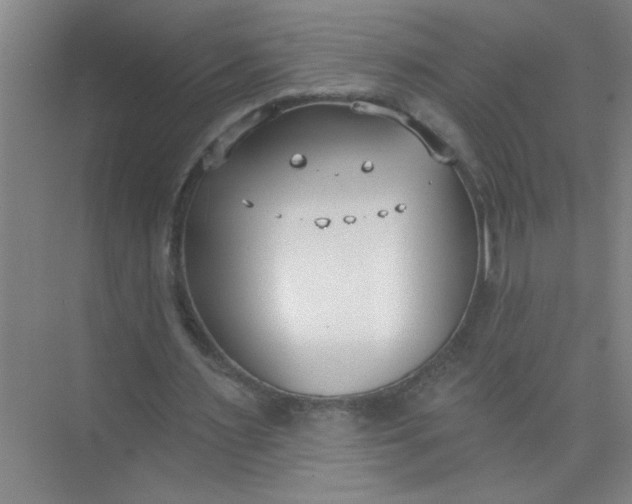 X0000073970483200609051849