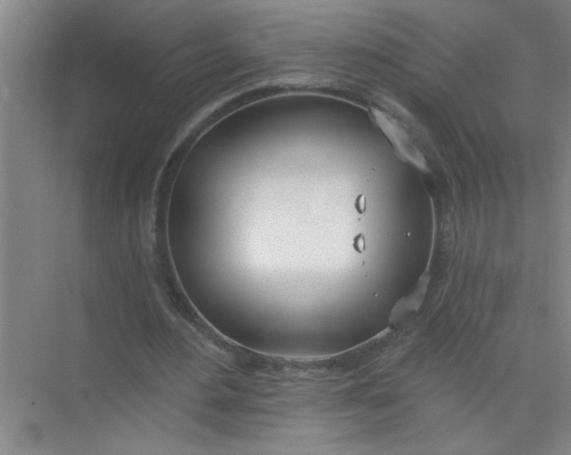 X0000073970484200609051849