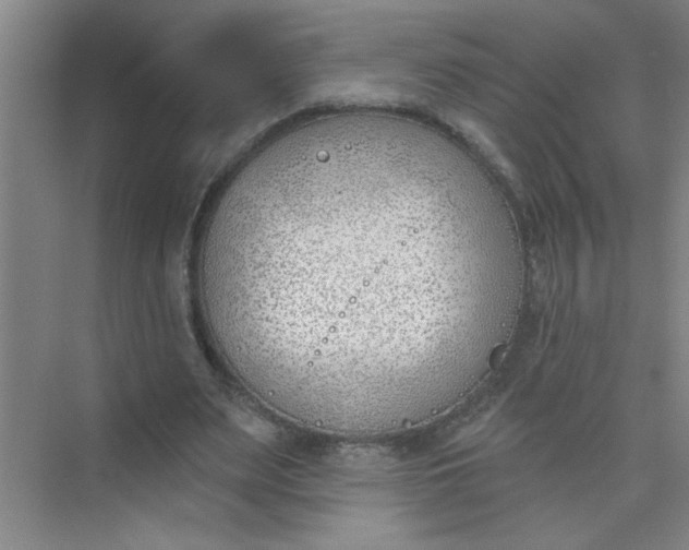 X0000073970487200609051849