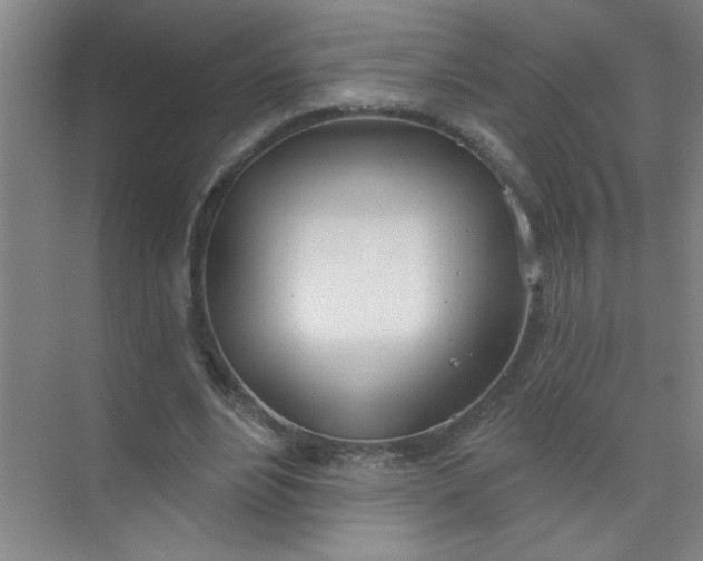 X0000073970488200609051849