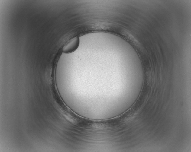 X0000073970490200609051849