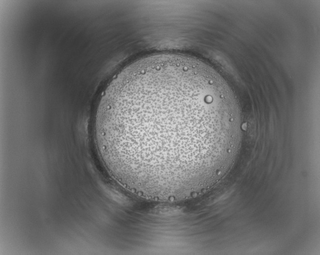 X0000073970491200609051849