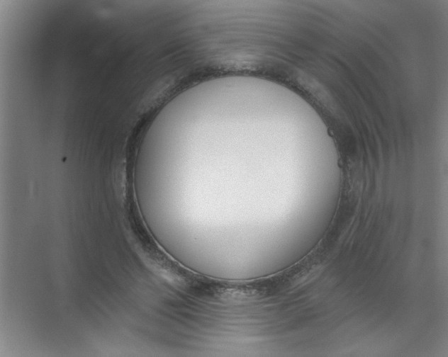 X0000073970494200609051849