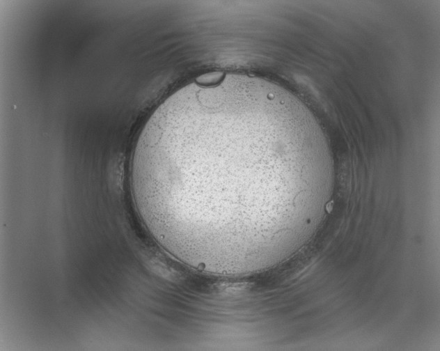 X0000073970495200609051849