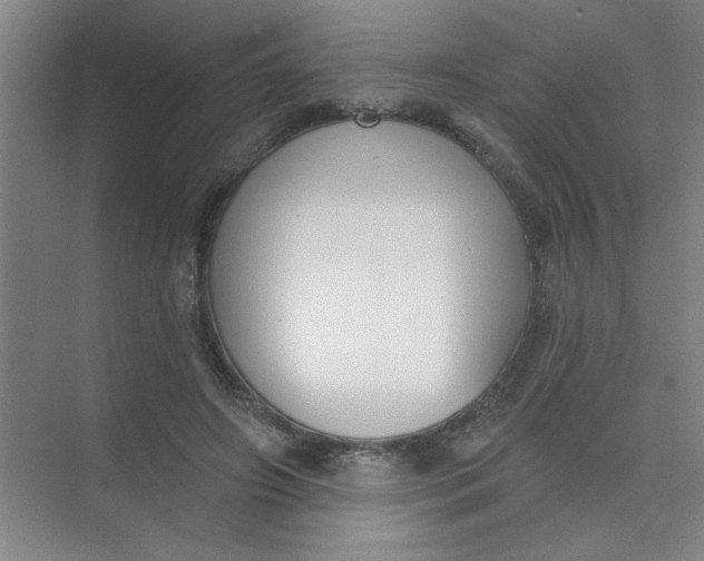 X0000073970498200609051849