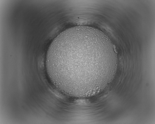 X0000073970499200609051849