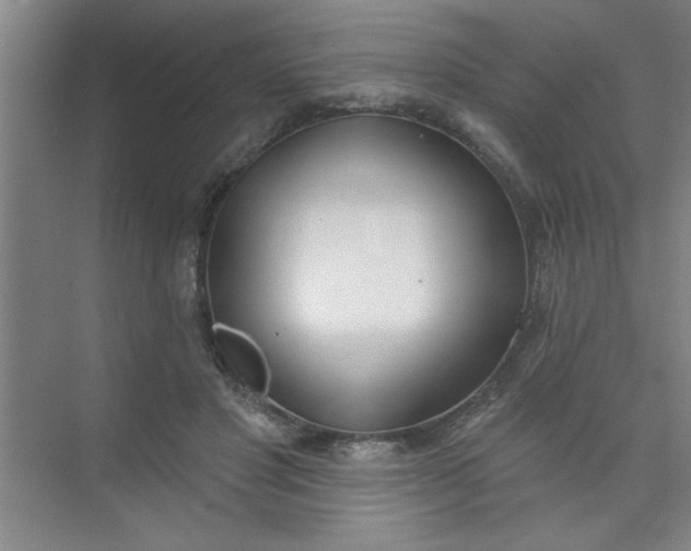 X0000073970501200609051849