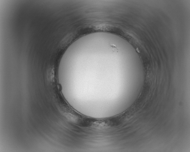 X0000073970502200609051849