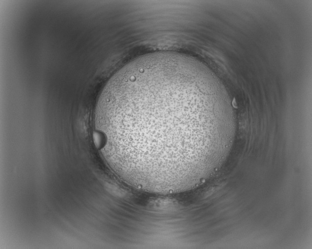 X0000073970503200609051849