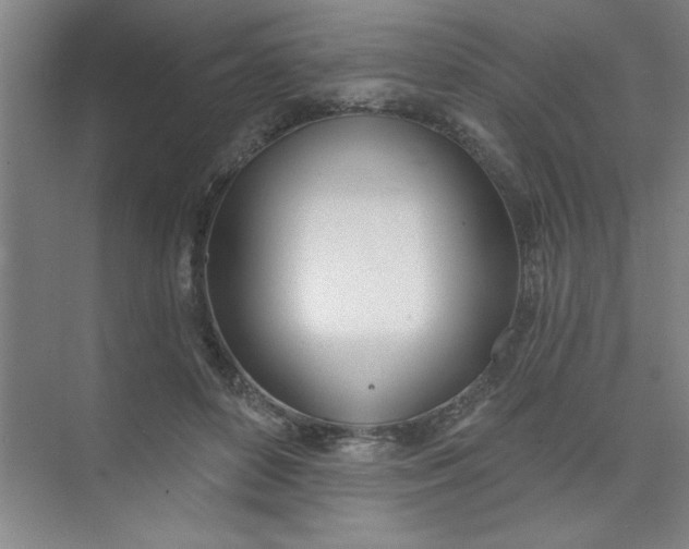 X0000073970504200609051849