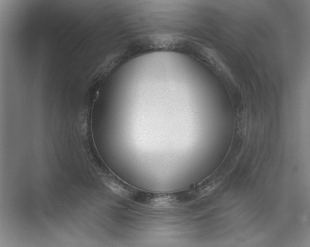 X0000073970505200609051849