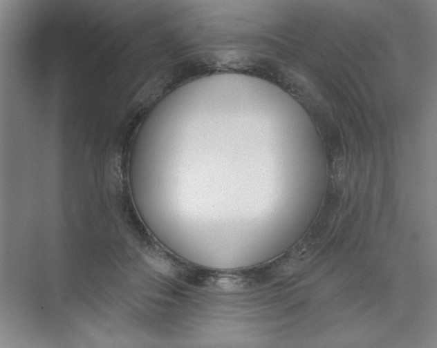 X0000073970506200609051849