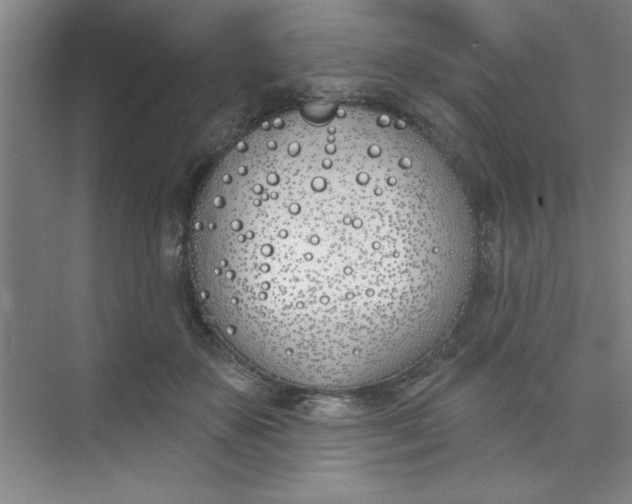 X0000073970507200609051849