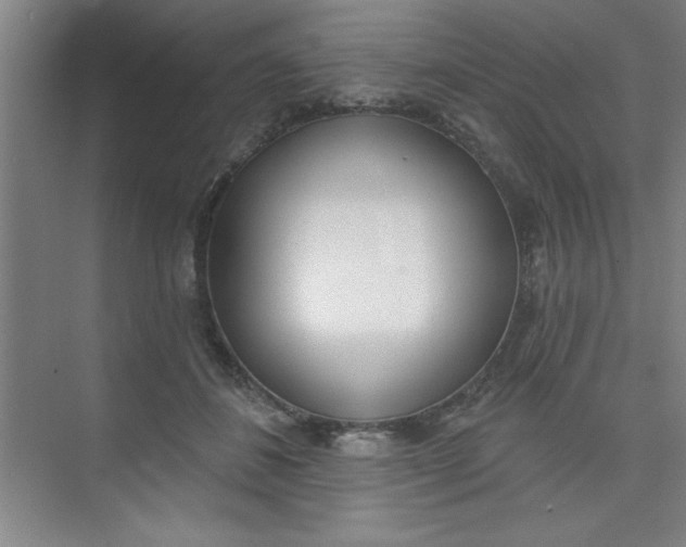 X0000073970508200609051849