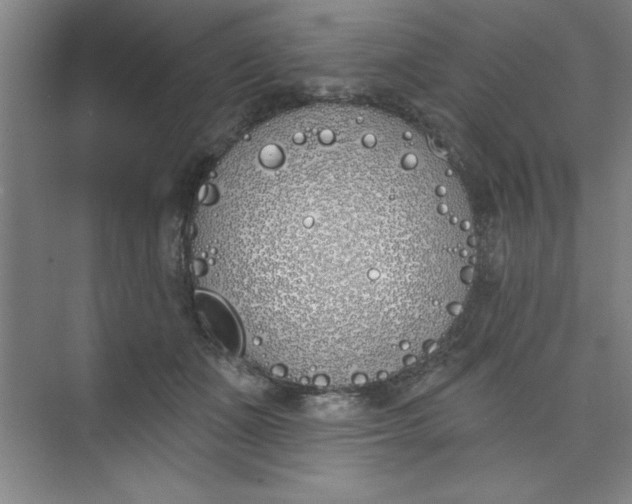 X0000073970511200609051849