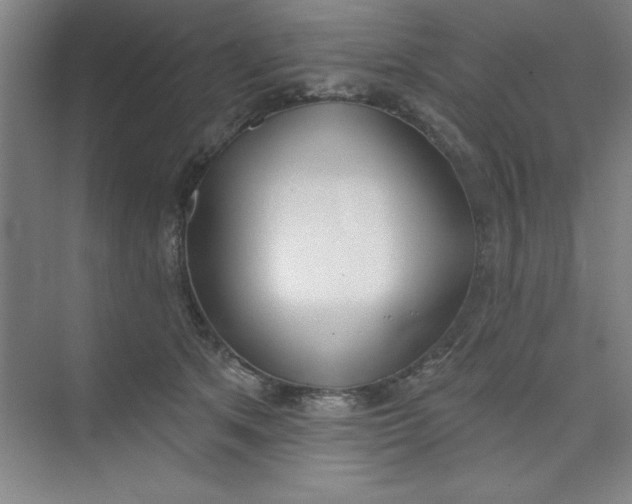 X0000073970513200609051848