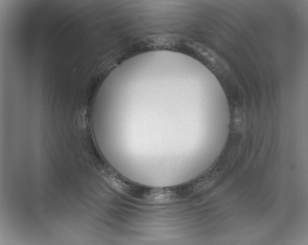 X0000073970514200609051848