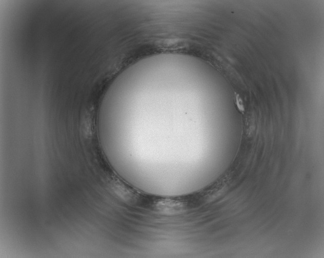 X0000073970515200609051848