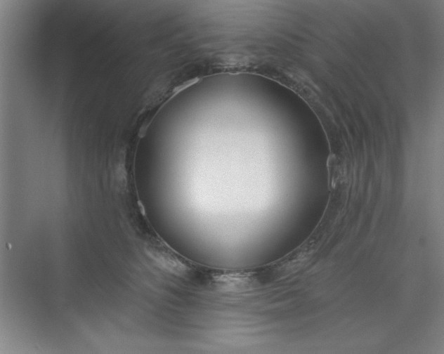 X0000073970516200609051848