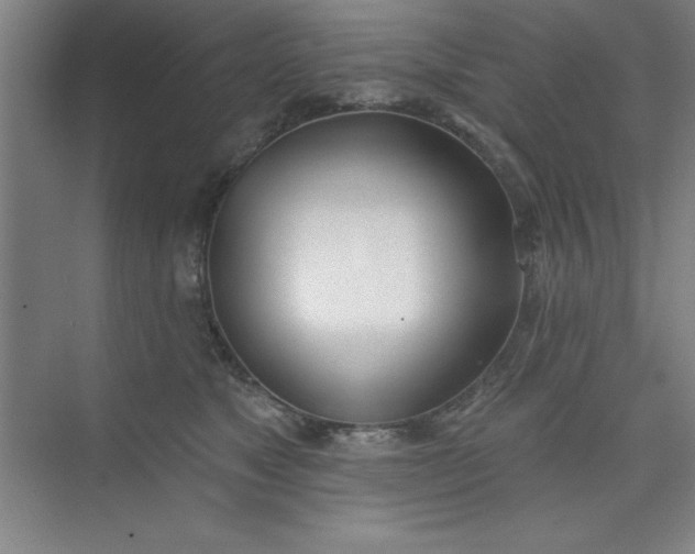 X0000073970517200609051848