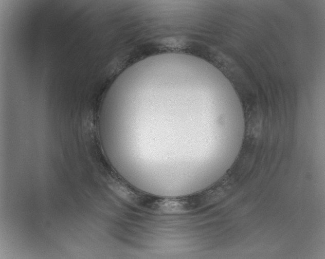 X0000073970518200609051848